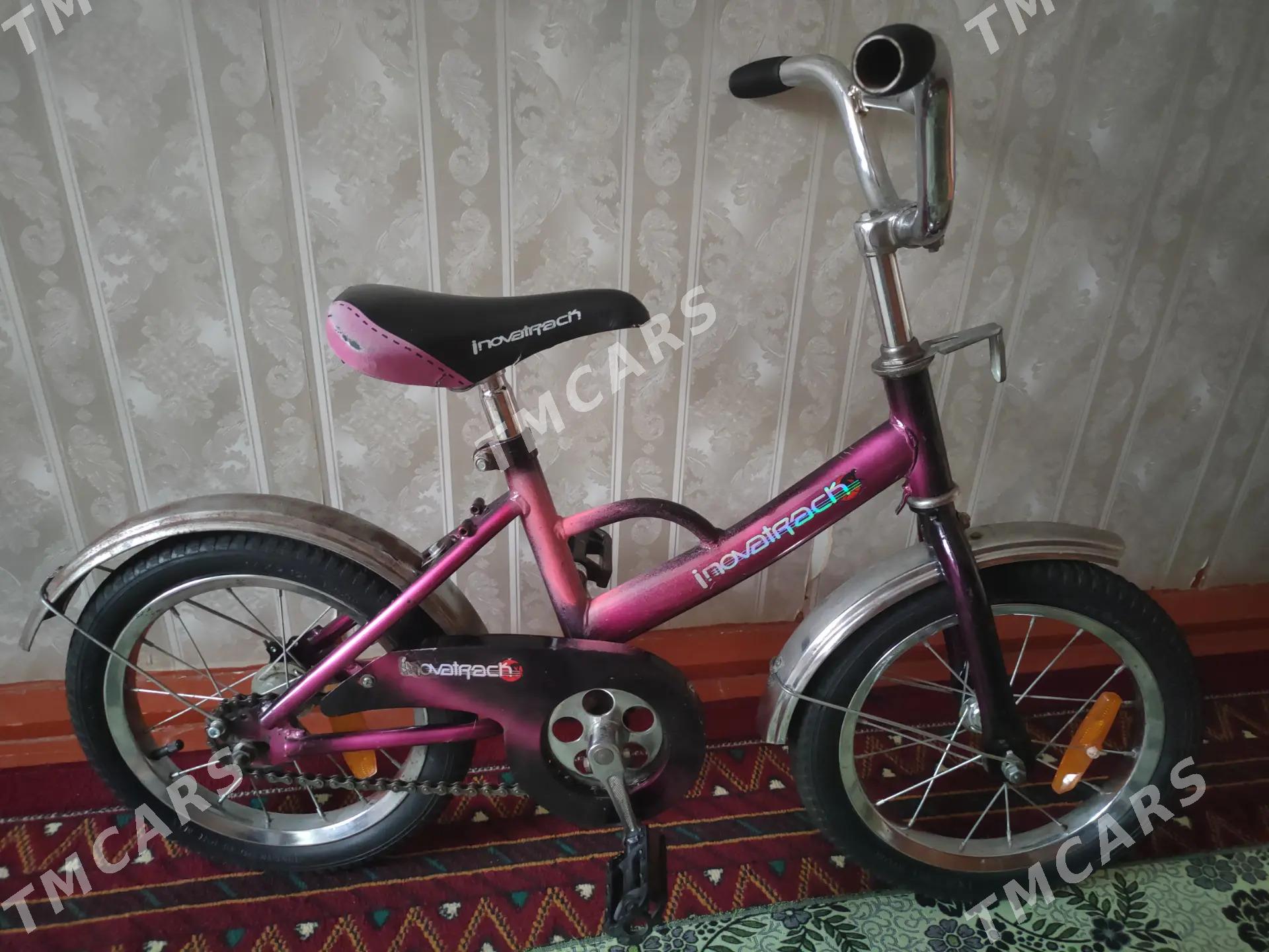 velik cagalar ucun - Mary - img 2