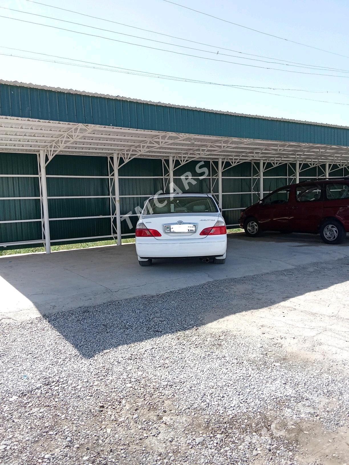 Toyota Avalon 2004 - 185 000 TMT - Sakarçäge - img 2