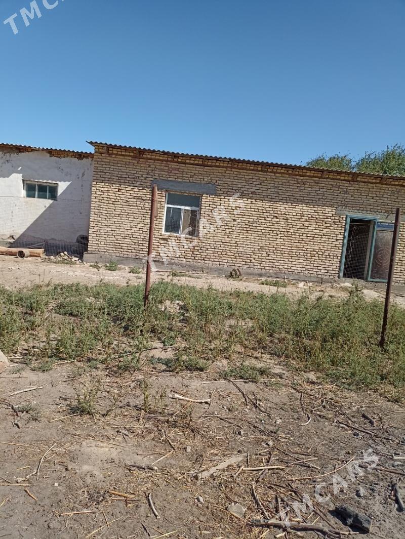 Myhmanhana - Boldumsaz - img 6