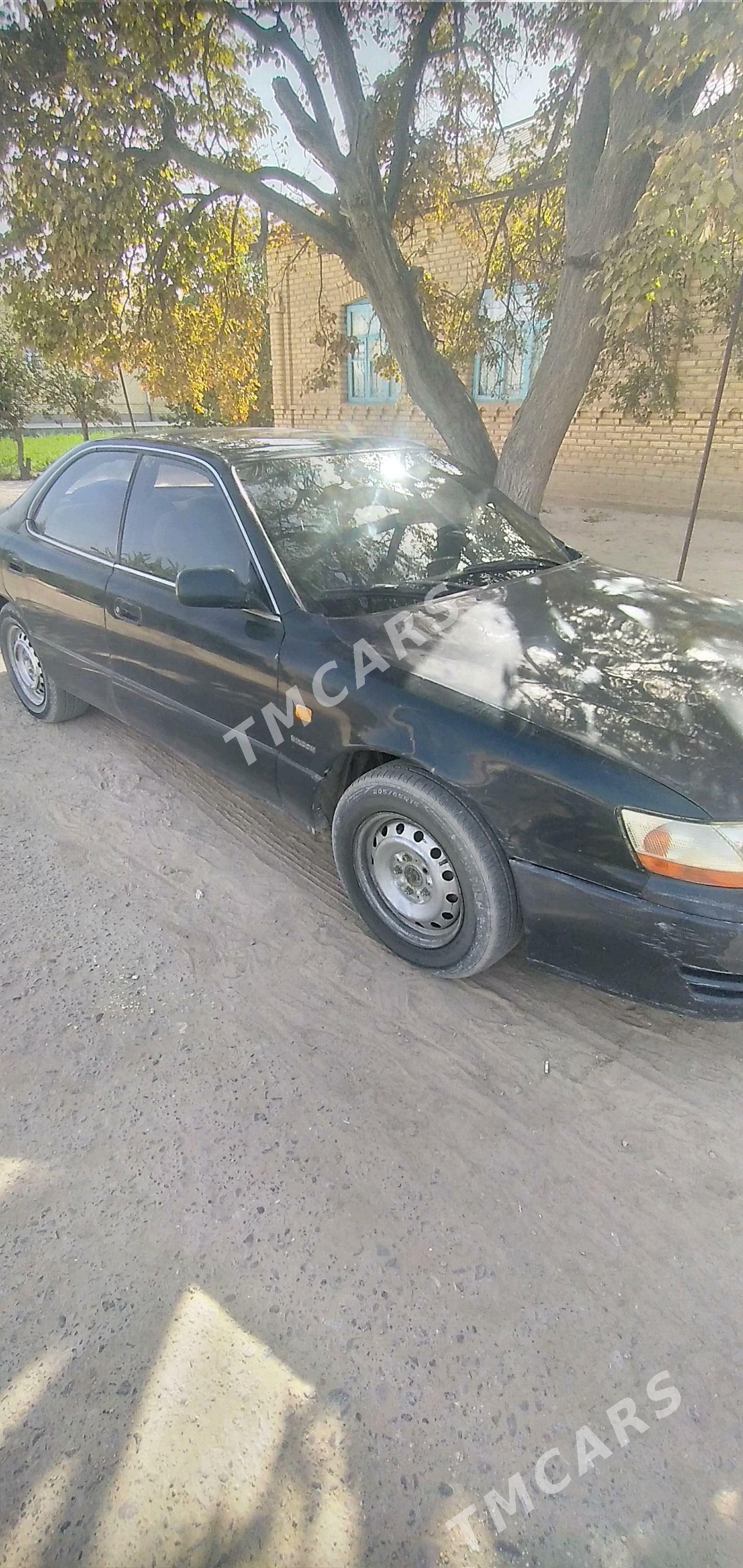 Toyota Windom 1995 - 50 000 TMT - Байрамали - img 2