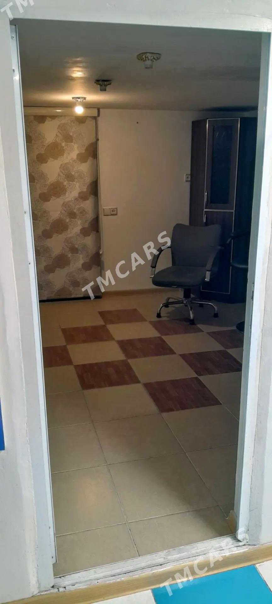 Satlyk Podwal - Büzmeýin GRES - img 2