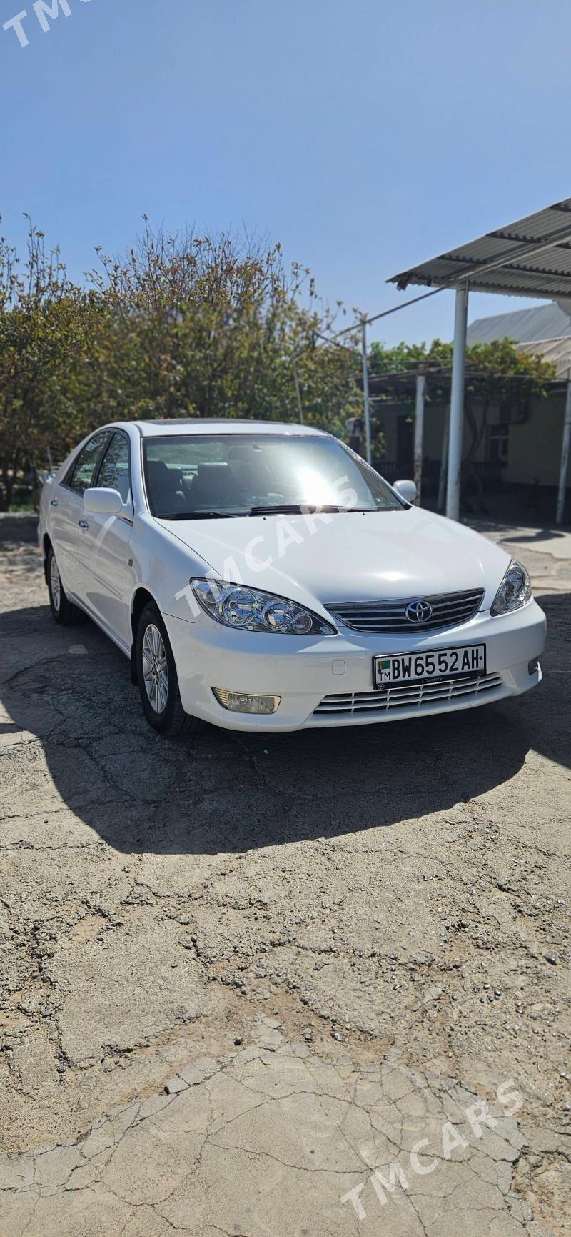 Toyota Camry 2005 - 240 000 TMT - Ak bugdaý etraby - img 6
