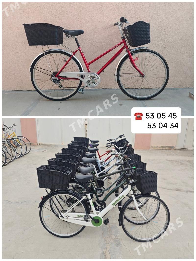 ÝAPON TIGIRLER YAPON TIGIR - Aşgabat - img 5