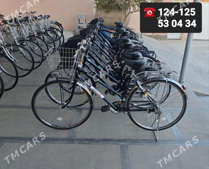ÝAPON TIGIRLER YAPON TIGIR - Aşgabat - img 10