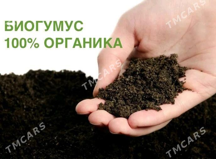 Biogumus - Дашогуз - img 2