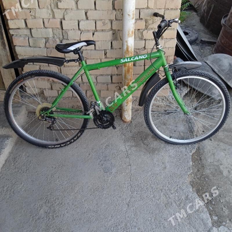 turkmenistan tigir - Büzmeýin - img 2
