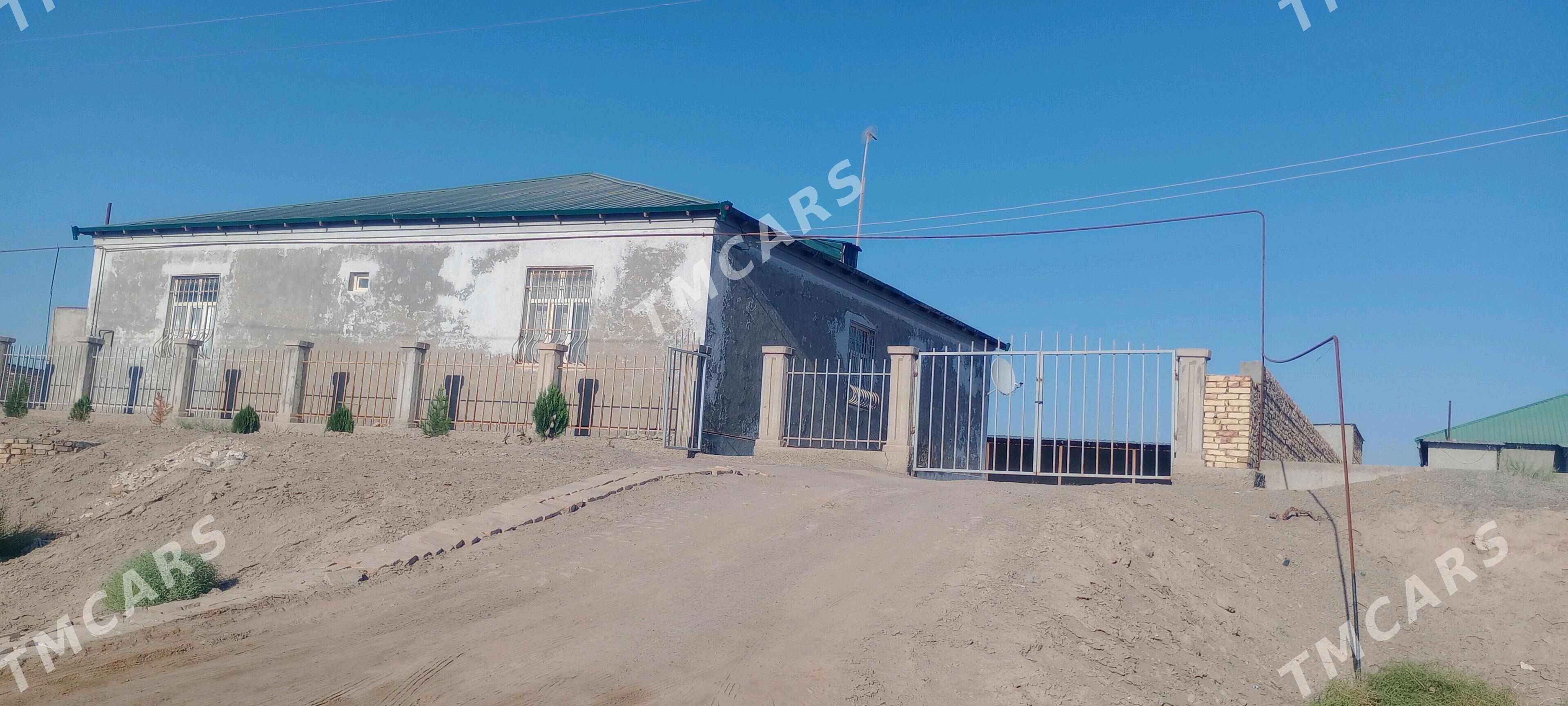 Gulustan 7nji koce - Daşoguz - img 2