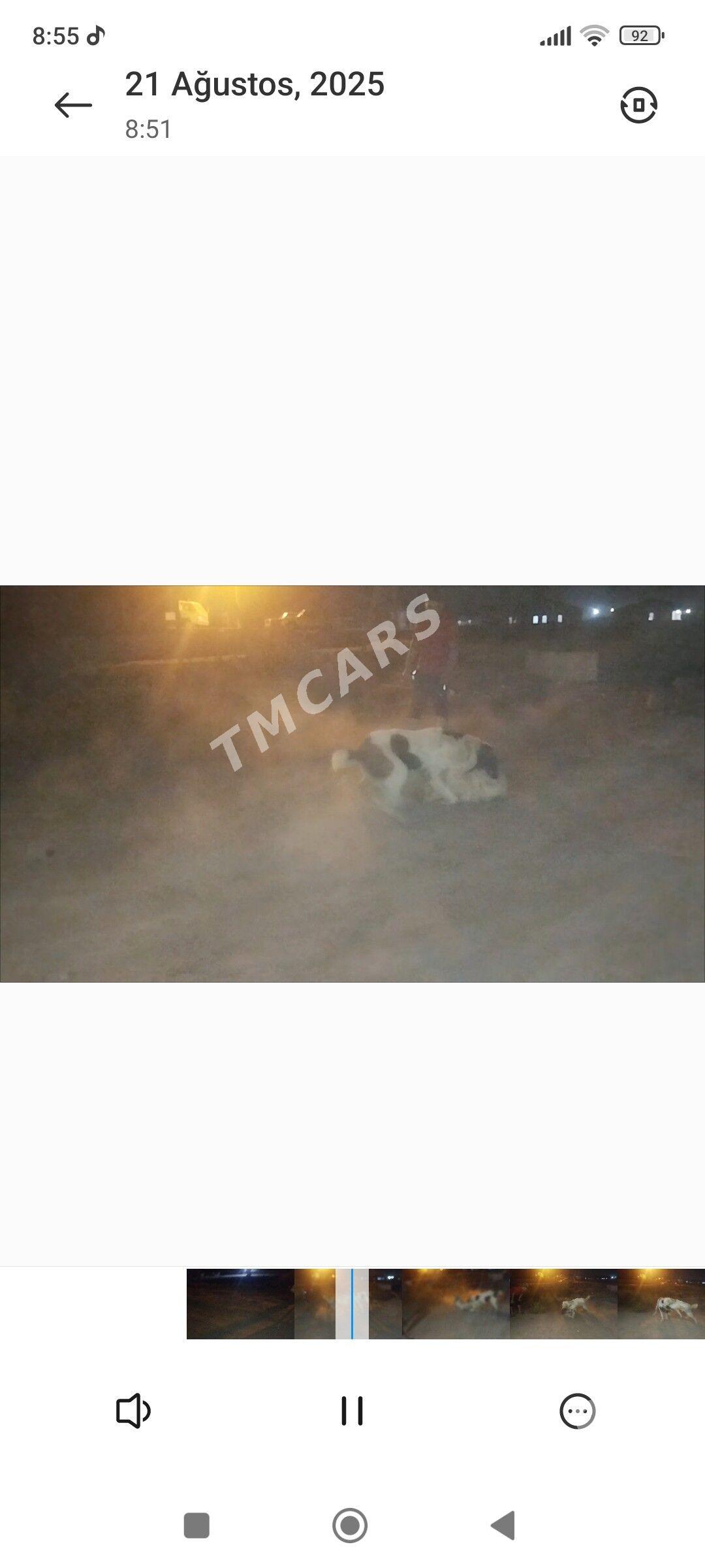 tkm it - Murgap - img 1