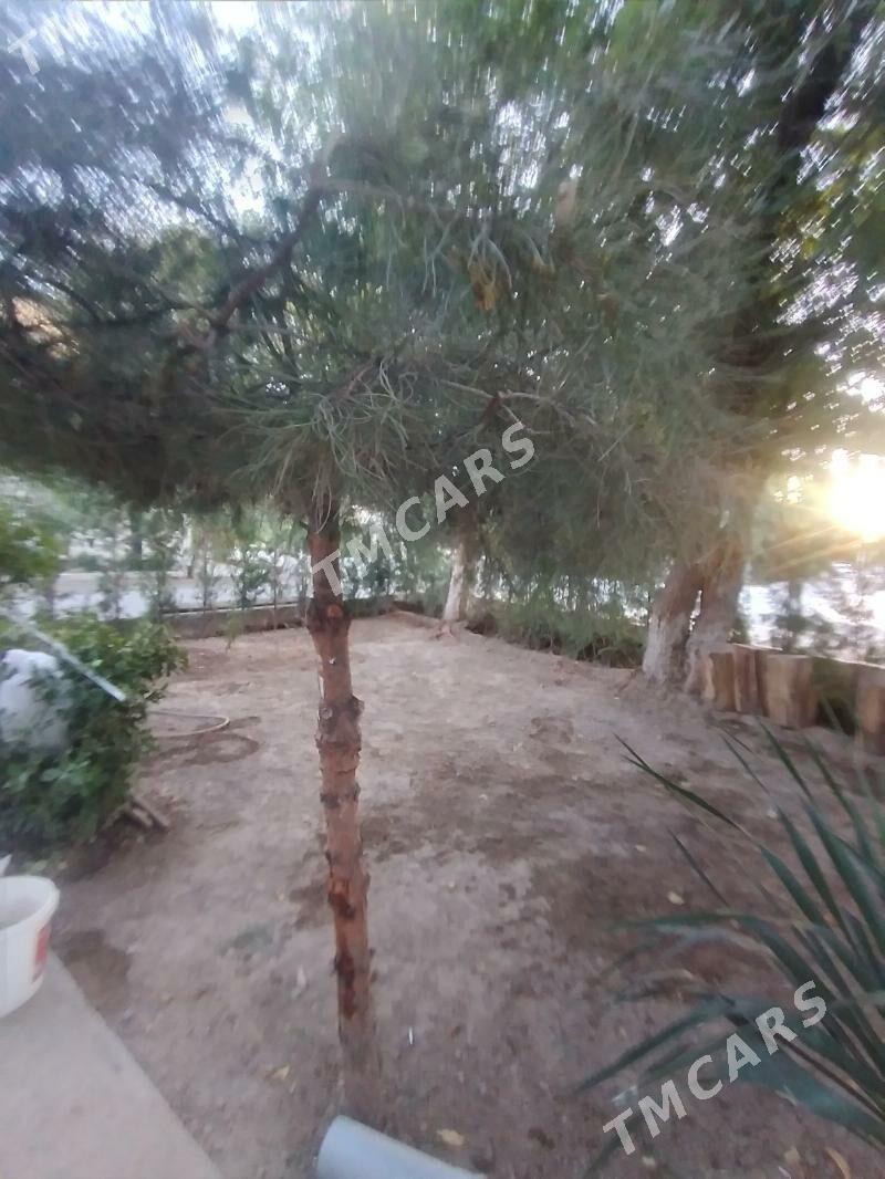 Arenda 30mkr - Aşgabat - img 6