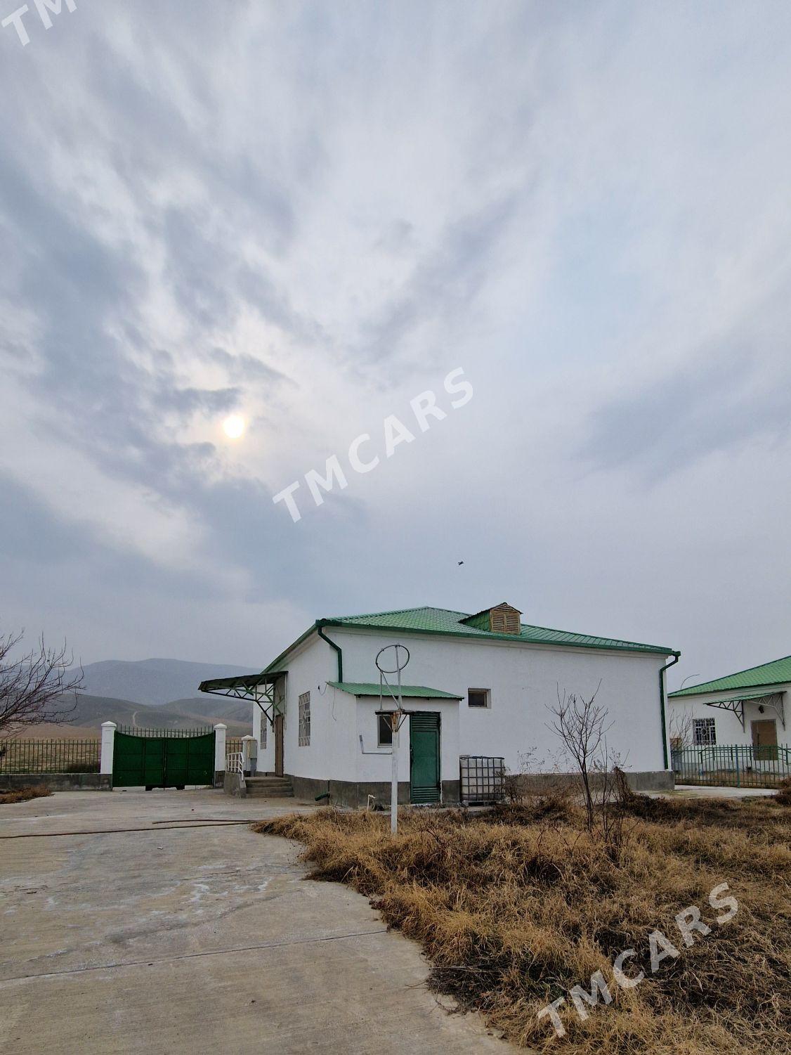 Берекетли Заман Дом - Aşgabat - img 5