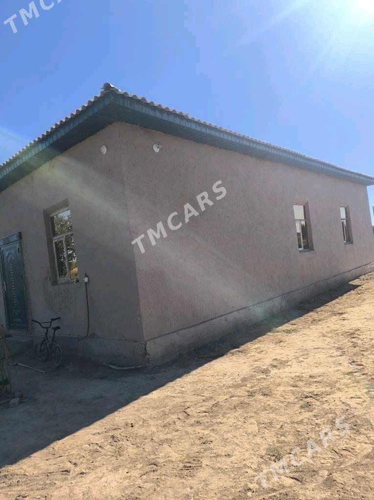 ŷaşaŷyş jaŷ - Türkmenbaşy etr. - img 2