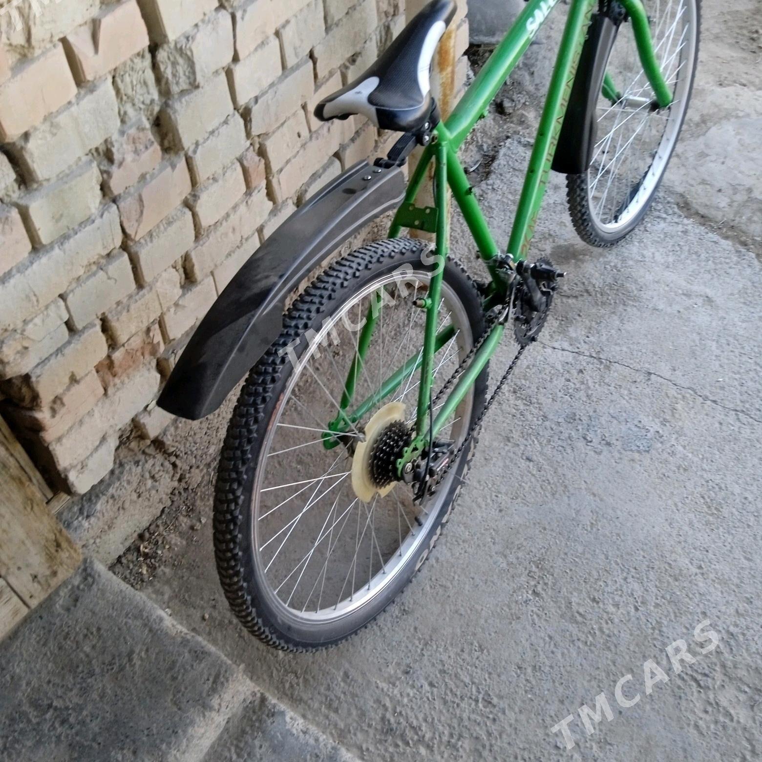 turkmenistan tigir - Büzmeýin - img 2