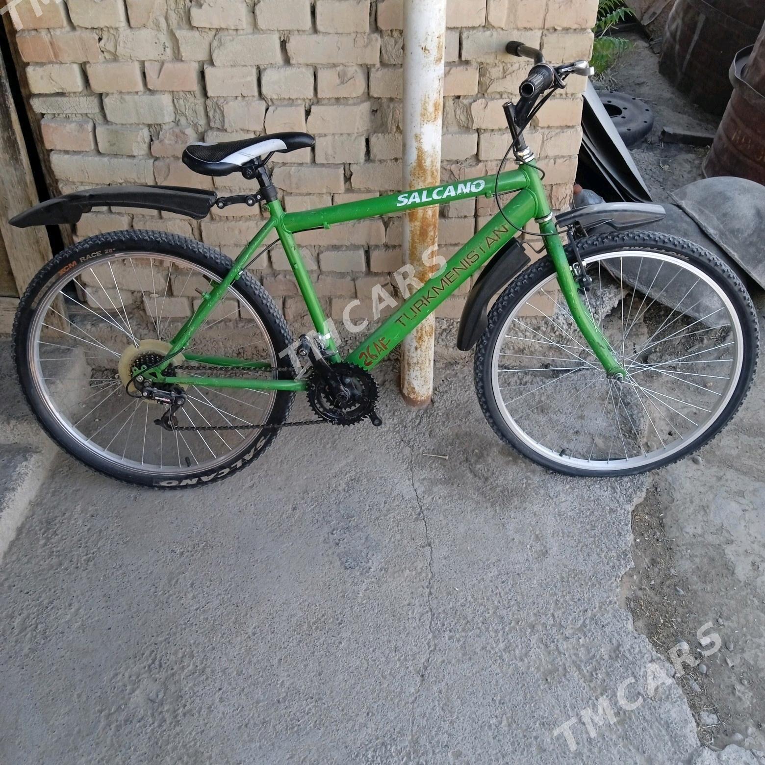 turkmenistan tigir - Büzmeýin - img 3