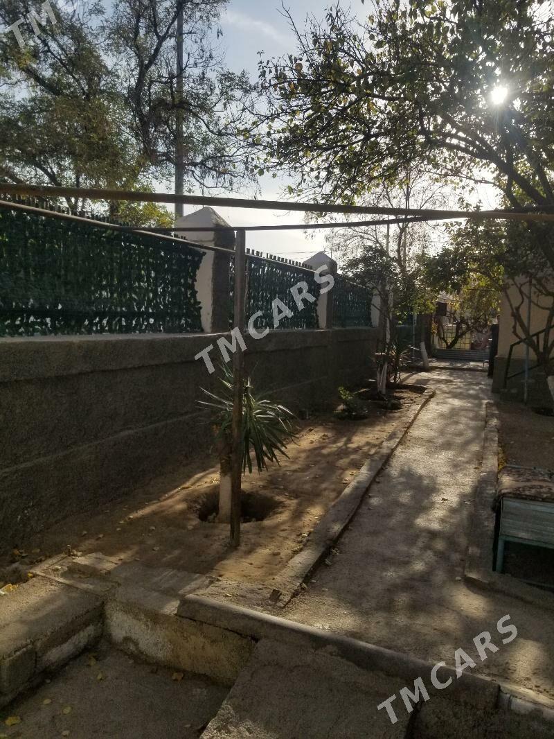 Kwartia - Türkmenbaşy - img 5