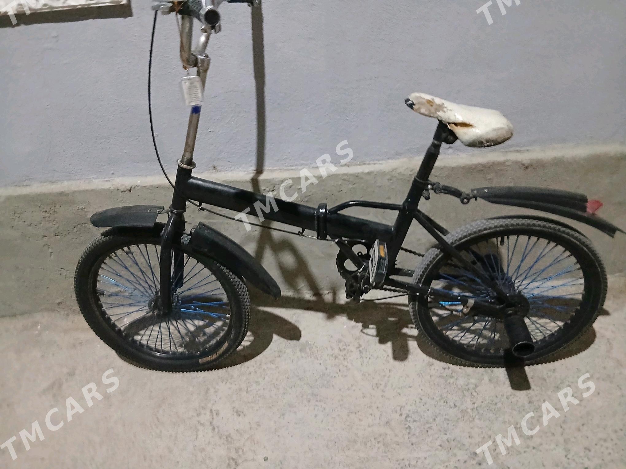 tigir - Büzmeýin - img 2