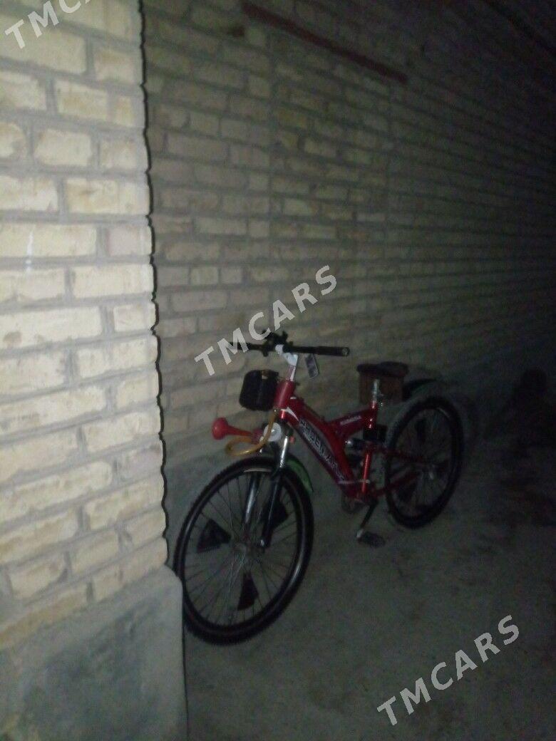 welik - Sakar - img 3