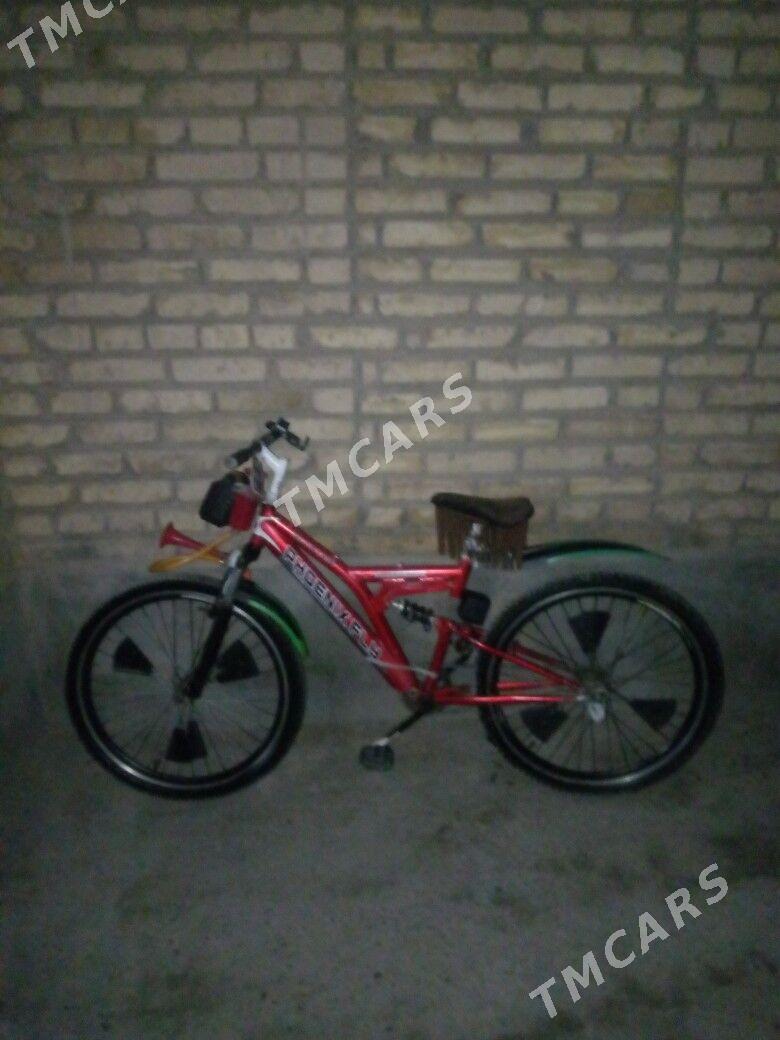 welik - Sakar - img 2