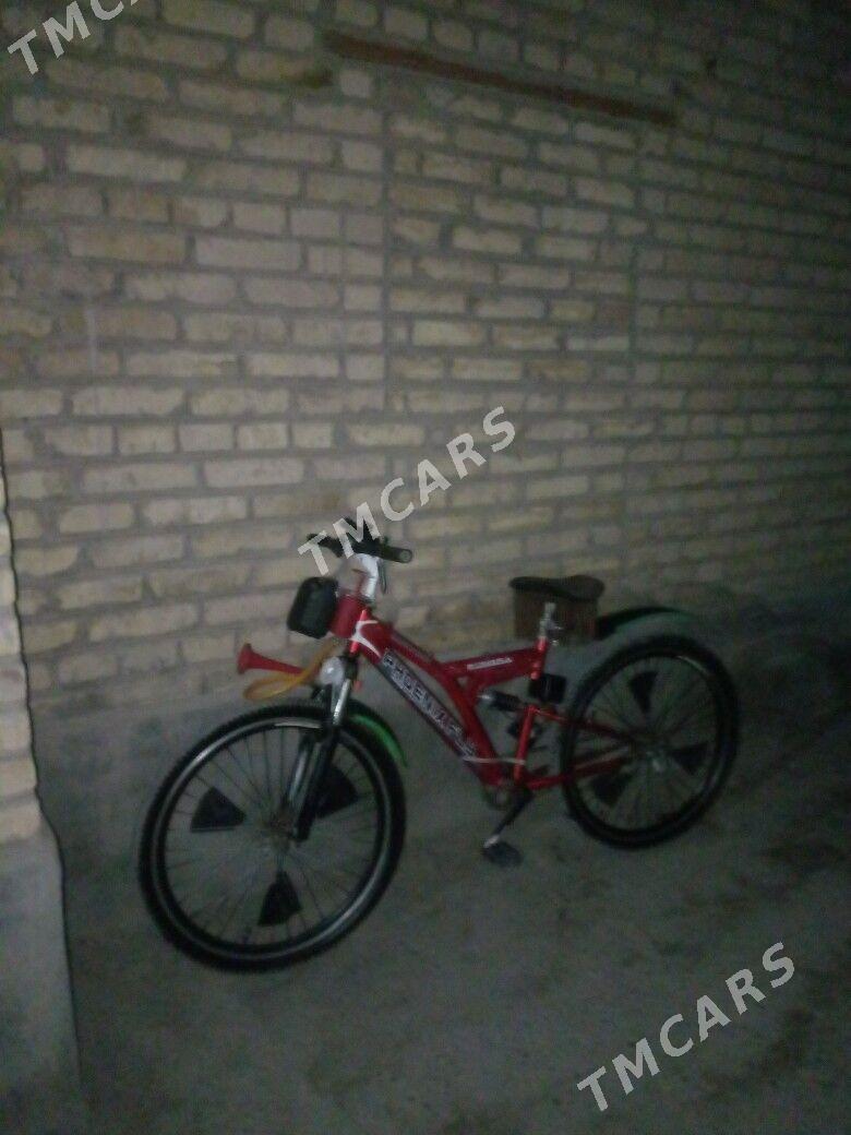 welik - Sakar - img 4
