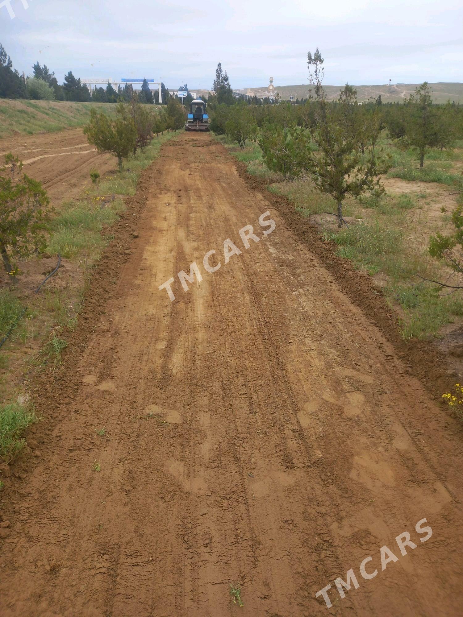 isgar gerek bagban - Туркменбаши - img 4