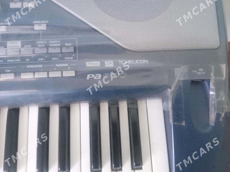 Pa 800 KORG - Mary - img 4