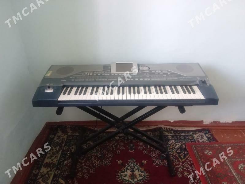 Pa 800 KORG - Mary - img 2