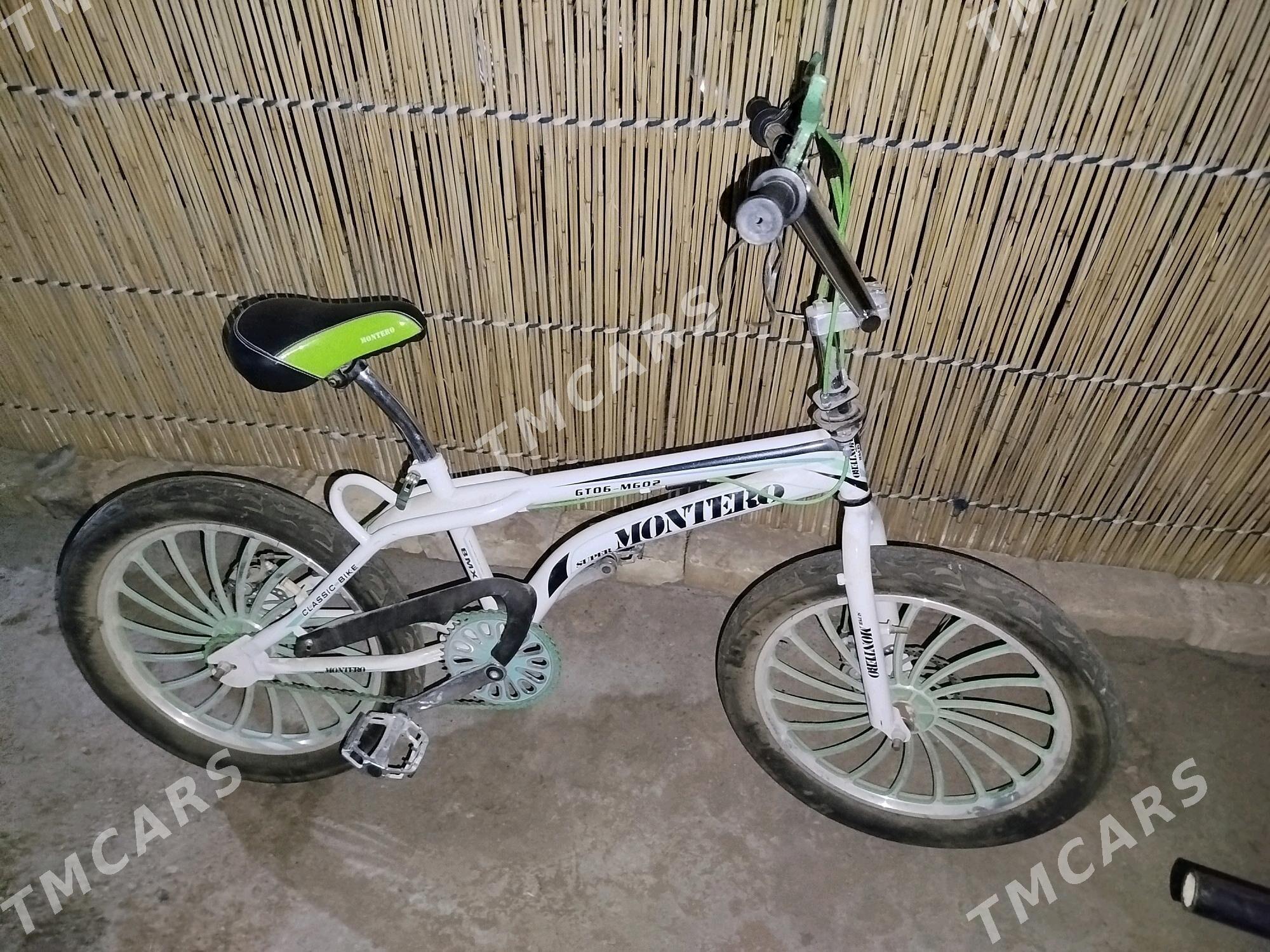 welik - Baýramaly - img 2