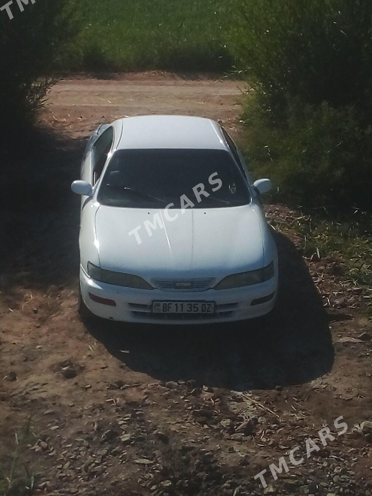 Toyota Carina 1998 - 45 000 TMT - Губадаг - img 6