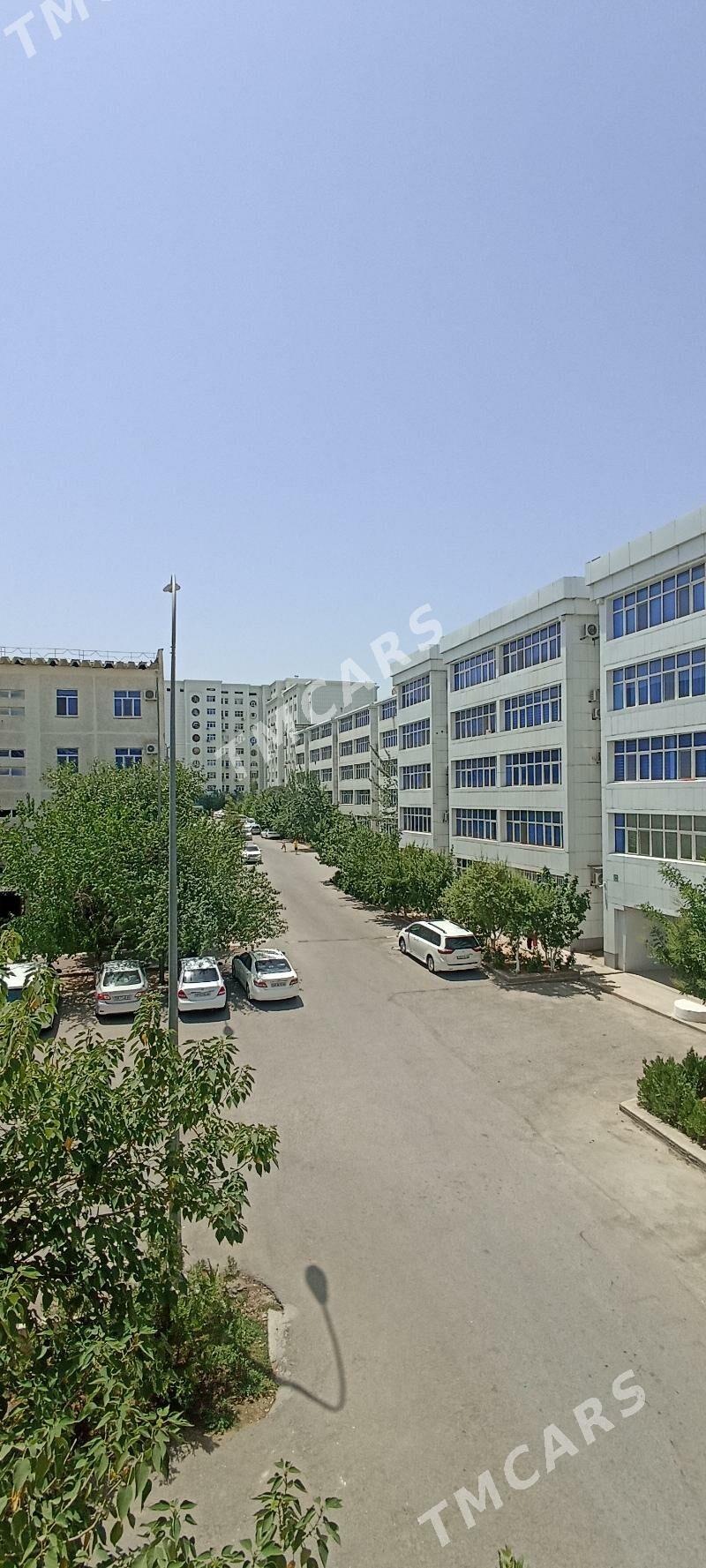 SATLYK JAY GEREK EYESINDEN - Ашхабад - img 2