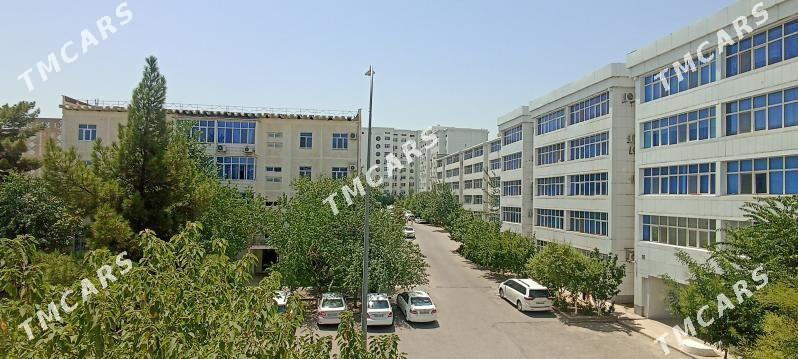 SATLYK JAY GEREK EYESINDEN - Ашхабад - img 3