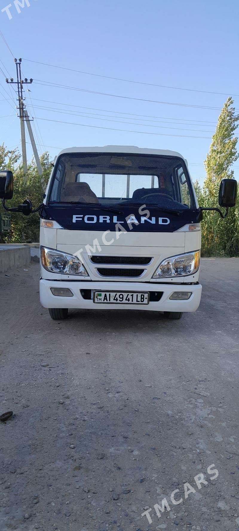 Forland H3 2009 - 60 000 TMT - Farap - img 7