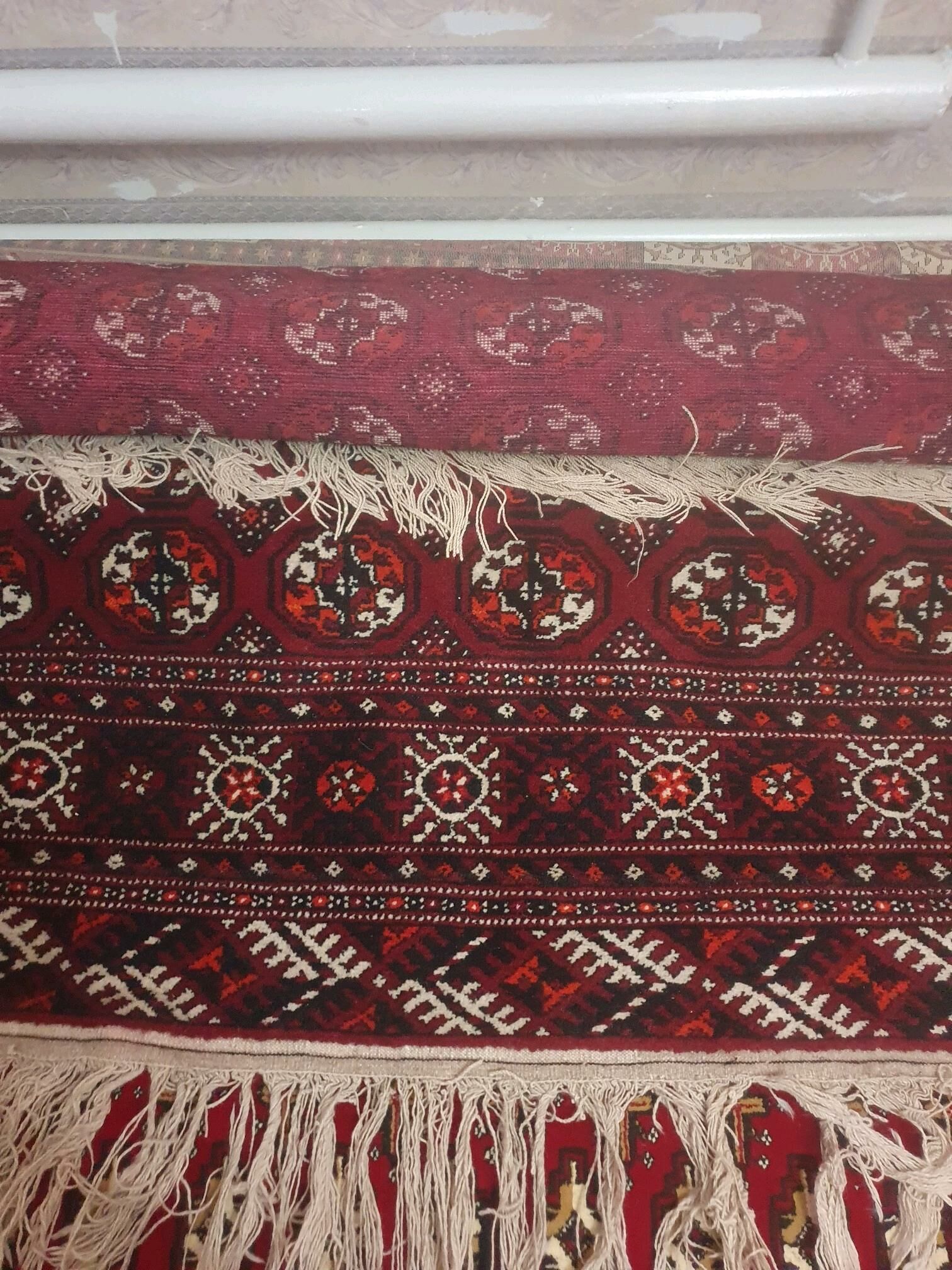 haly - Sakar - img 2