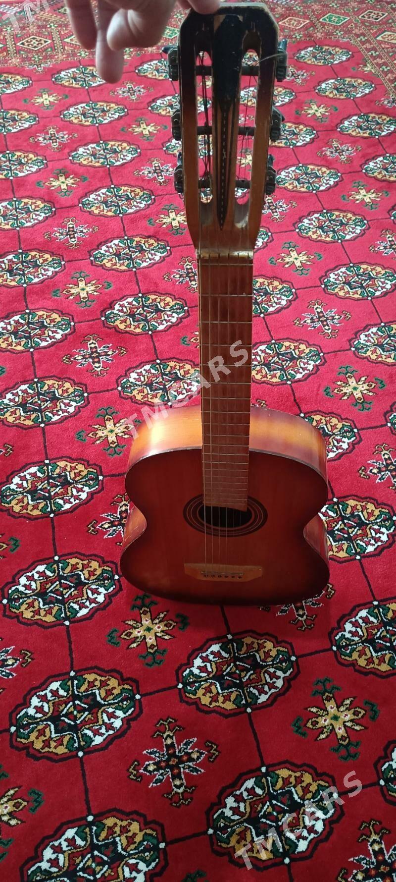 gitara - Mary - img 3