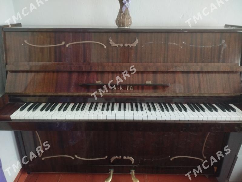 fortepiano - Halaç - img 2