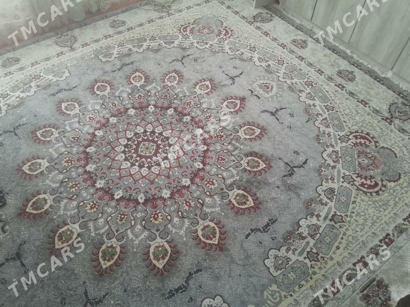 Haly turk - Mary - img 2