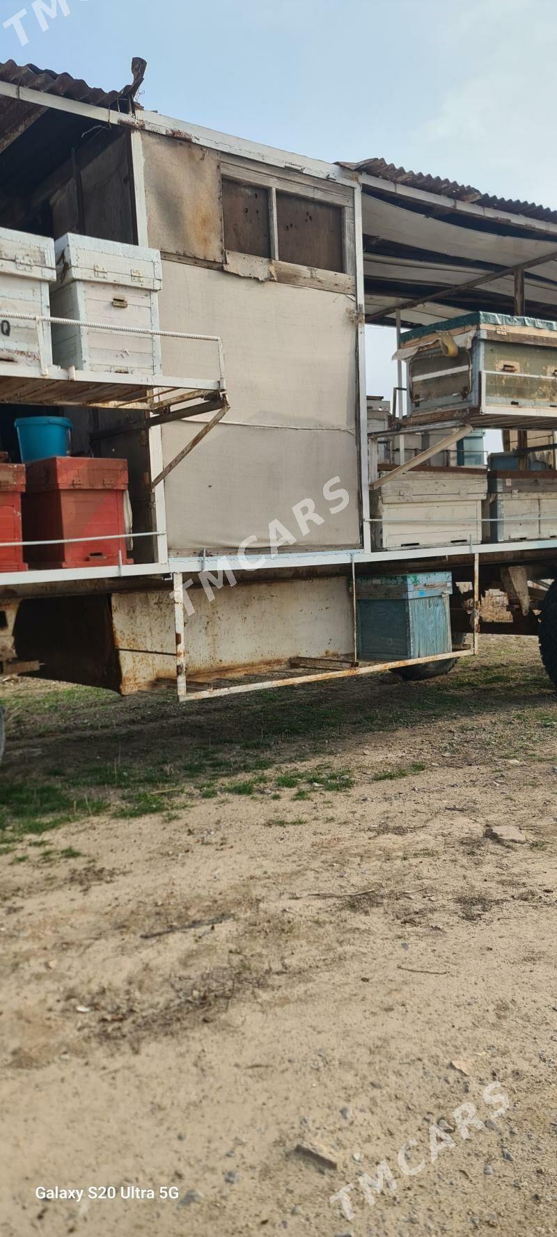 ary pirsep - Aşgabat - img 2