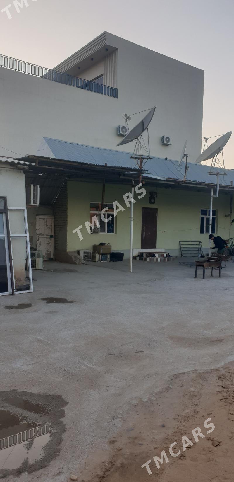 Ahall köçe - Änew - img 2