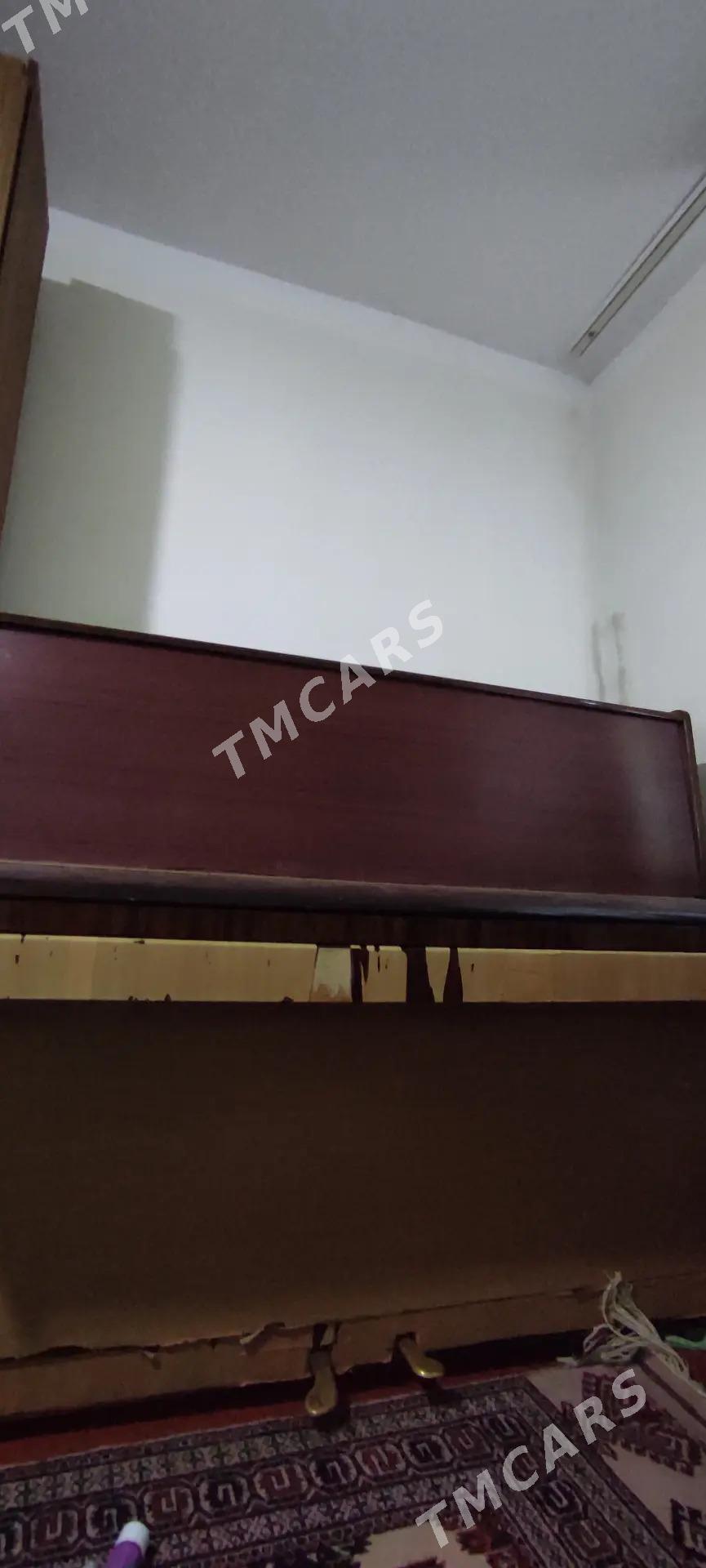 pionina - Türkmenbaşy - img 3
