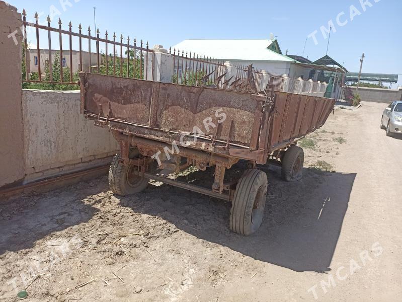 MTZ 80 2000 - 4 000 TMT - Gurbansoltan Eje - img 4