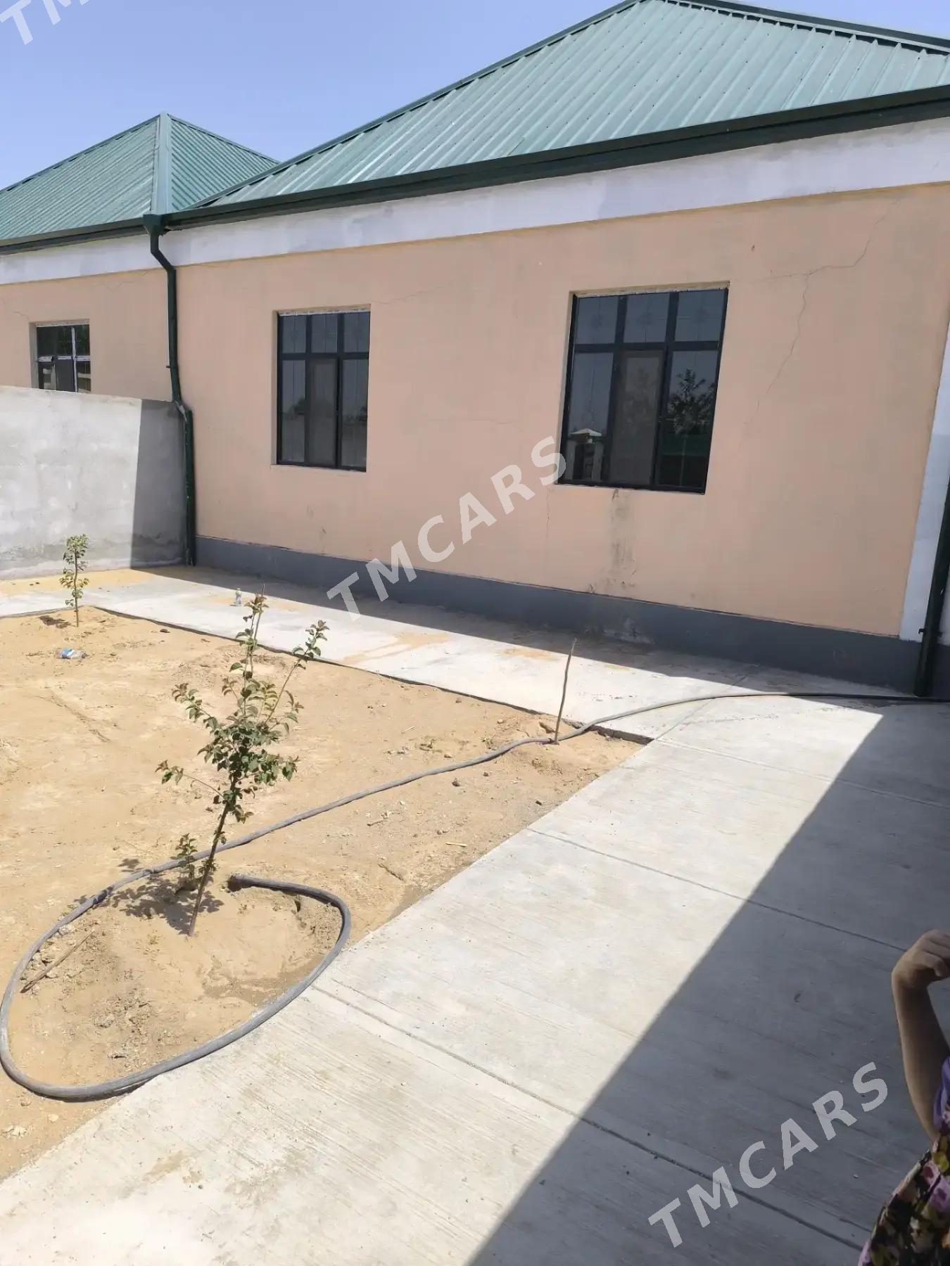 ÇOGANLY SATLYK JAŸ - Aşgabat - img 2