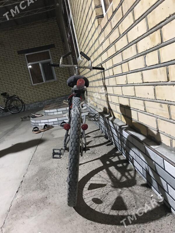 welik 24 - Garagum etraby - img 2