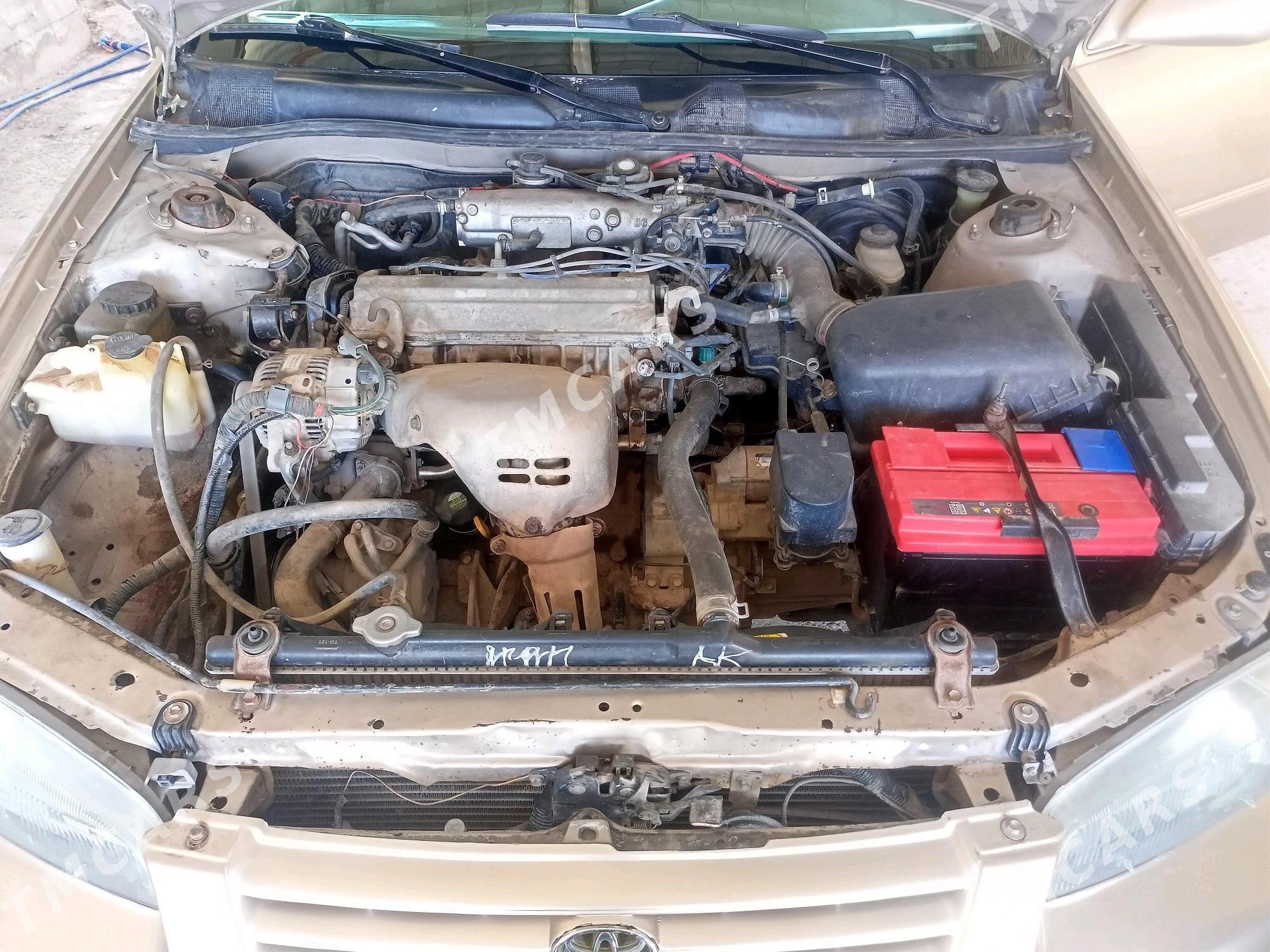 Toyota Camry 1999 - 125 000 TMT - Теджен - img 3