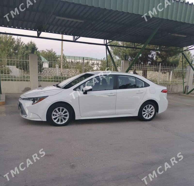 Toyota Corolla 2020 - 250 000 TMT - Balkanabat - img 3