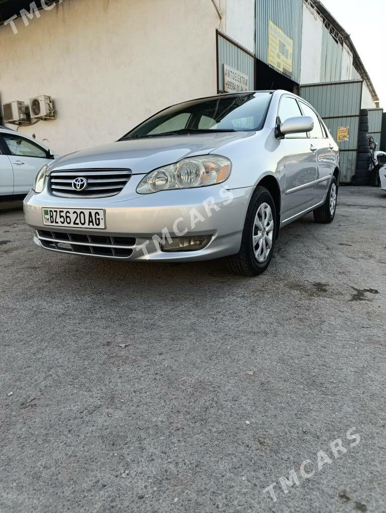 Toyota Corolla 2003 - 100 000 TMT - Aşgabat - img 2