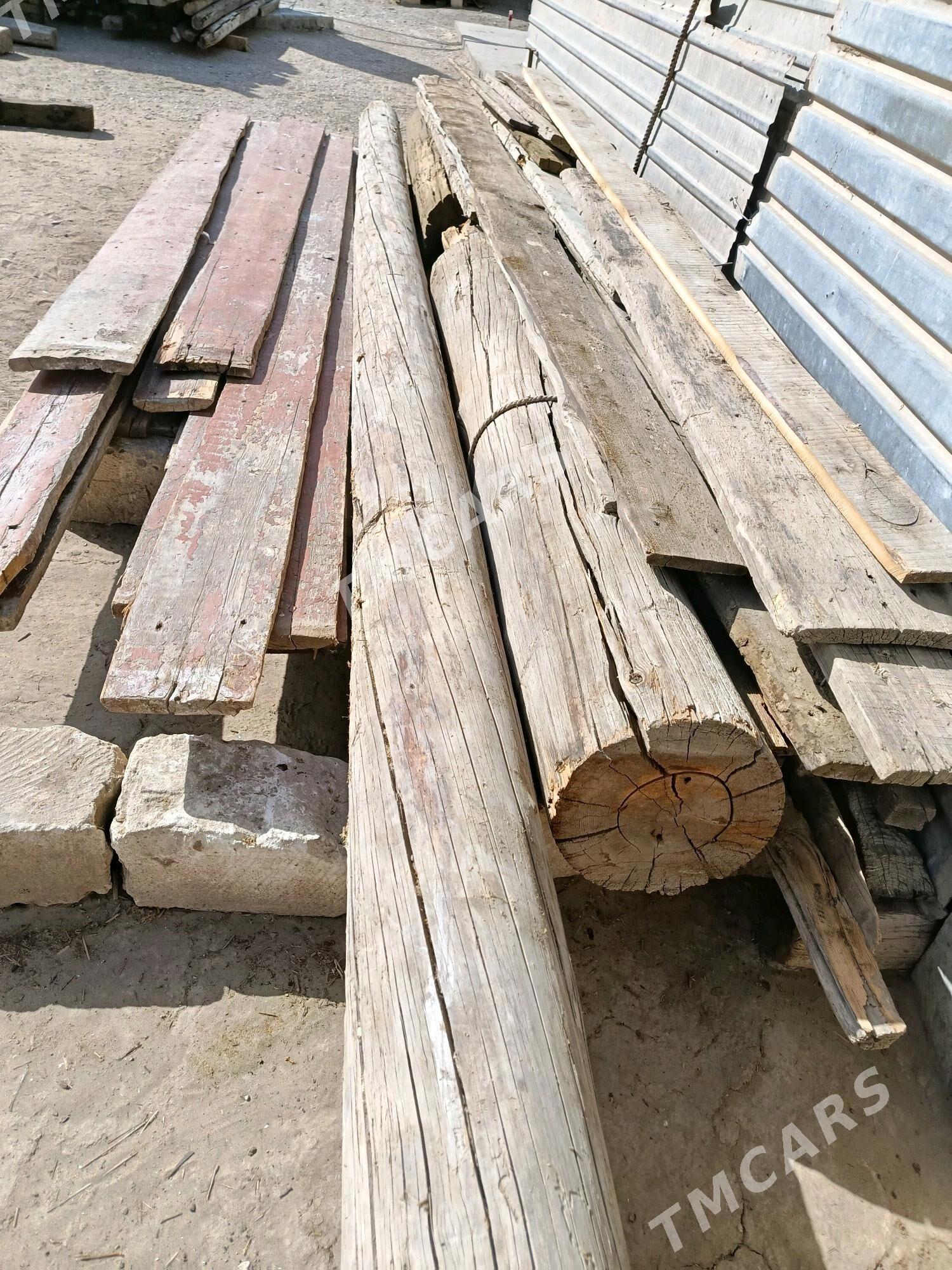 Agaç - Gumdag - img 2