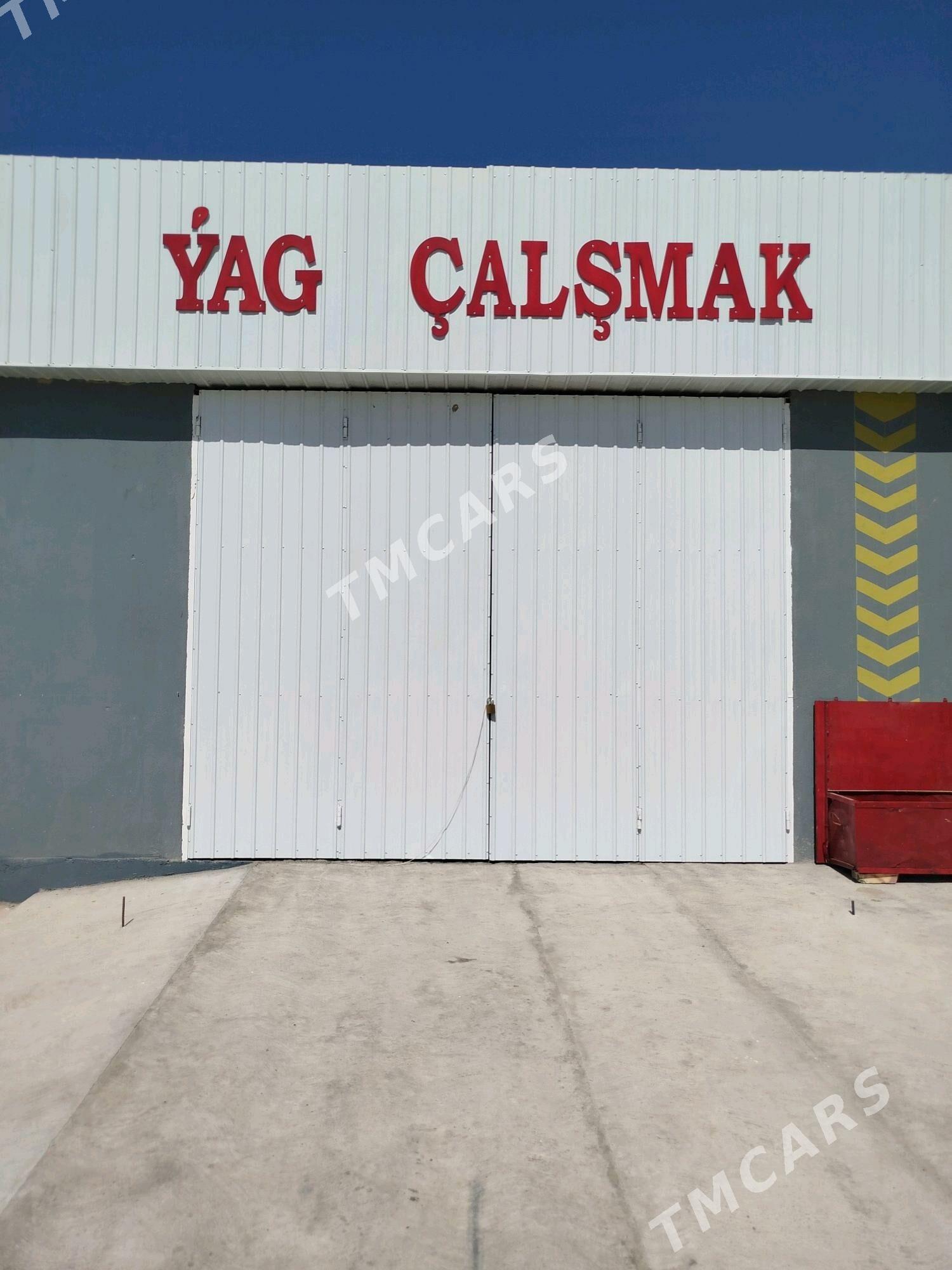 isgar gerek awto ulaglardan - Mary - img 2