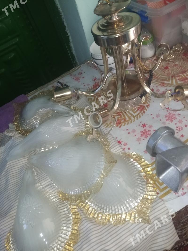 Oy goslary - Köneürgenç - img 2