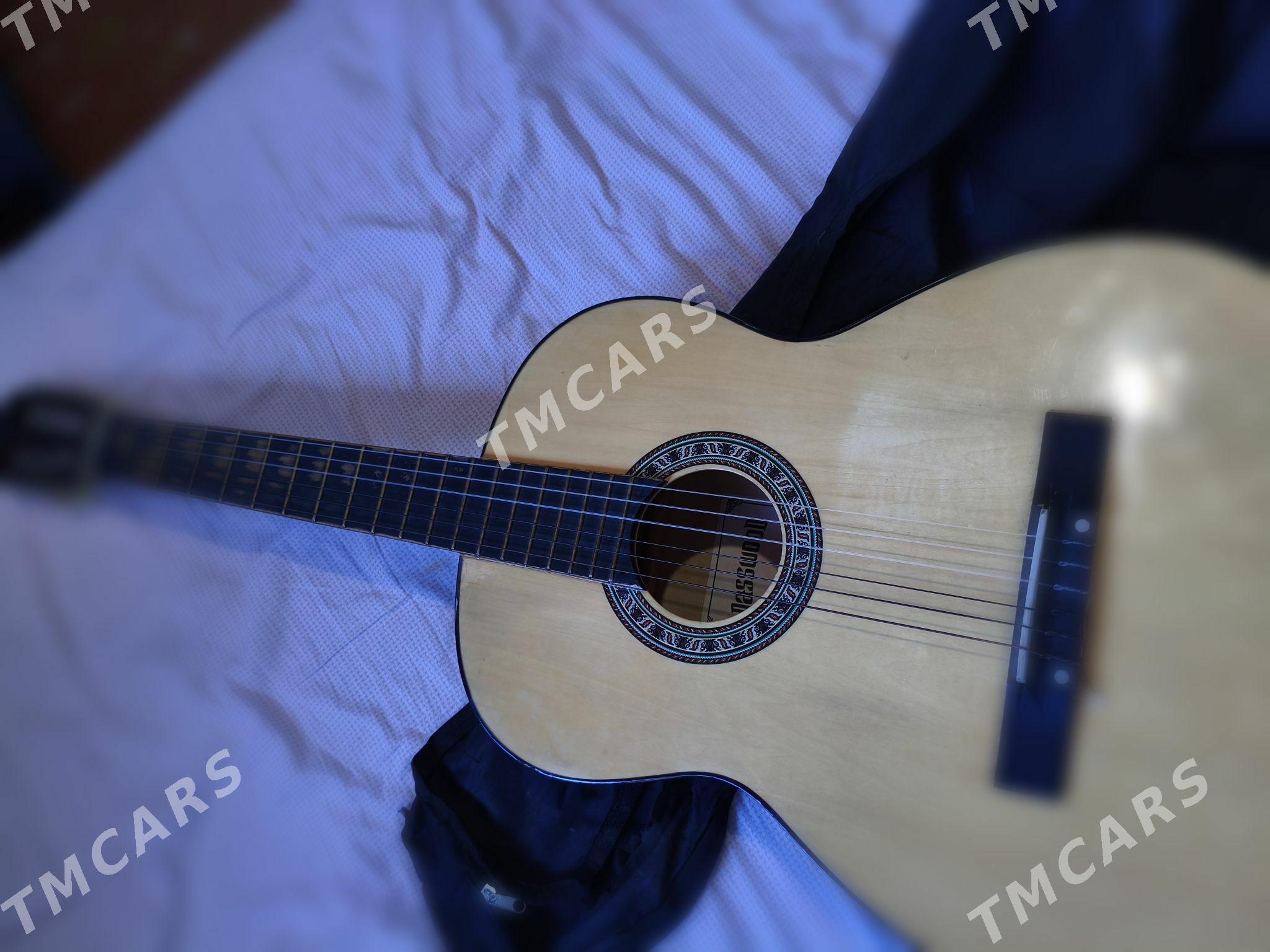 Gitara klassik - Daşoguz - img 2
