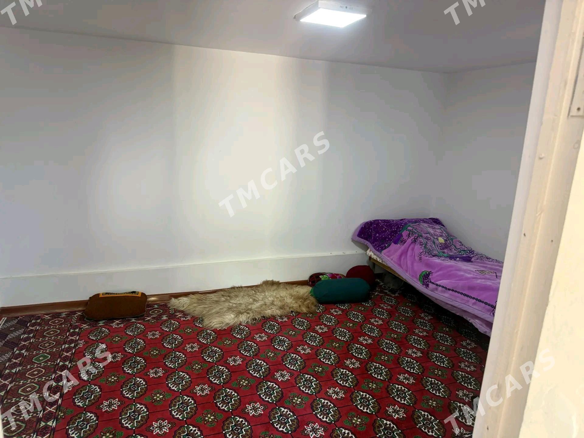 Satlyk daca - Mary - img 2