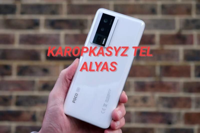 Paket blomba Tel Alya dublikat - Ашхабад - img 9