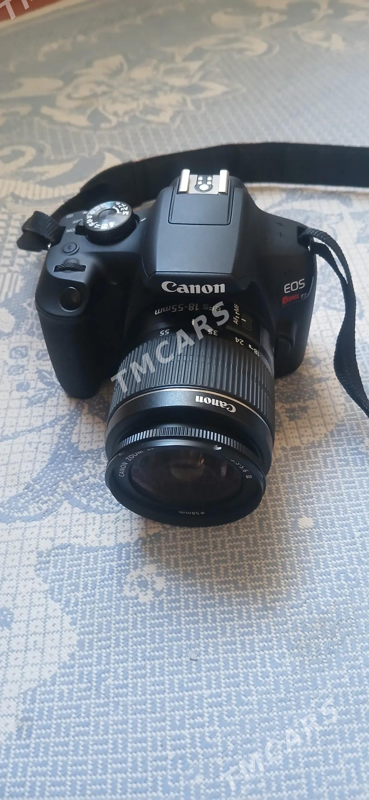 canon - Mary - img 7